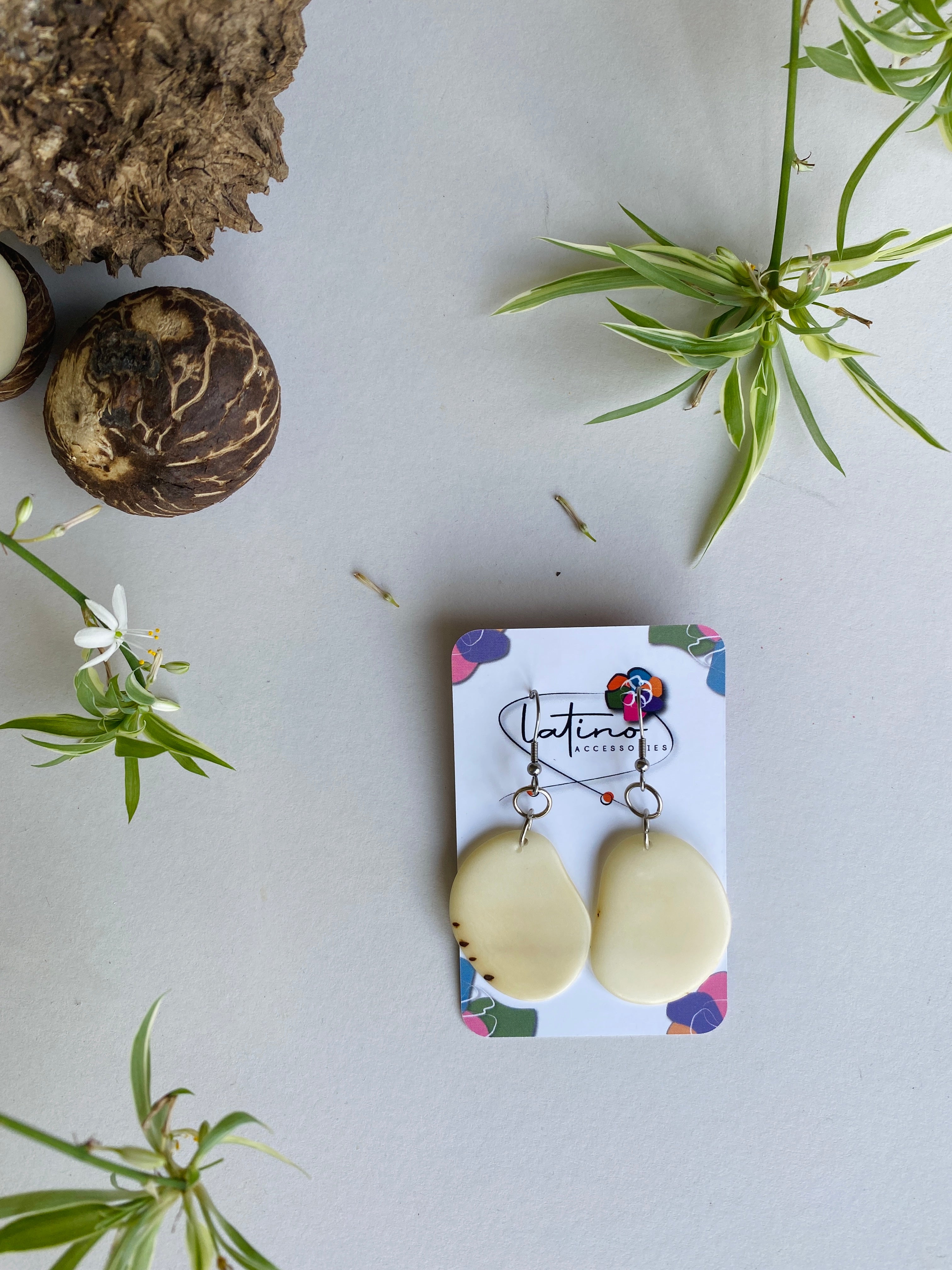 Natural Slices of Tagua Earrings