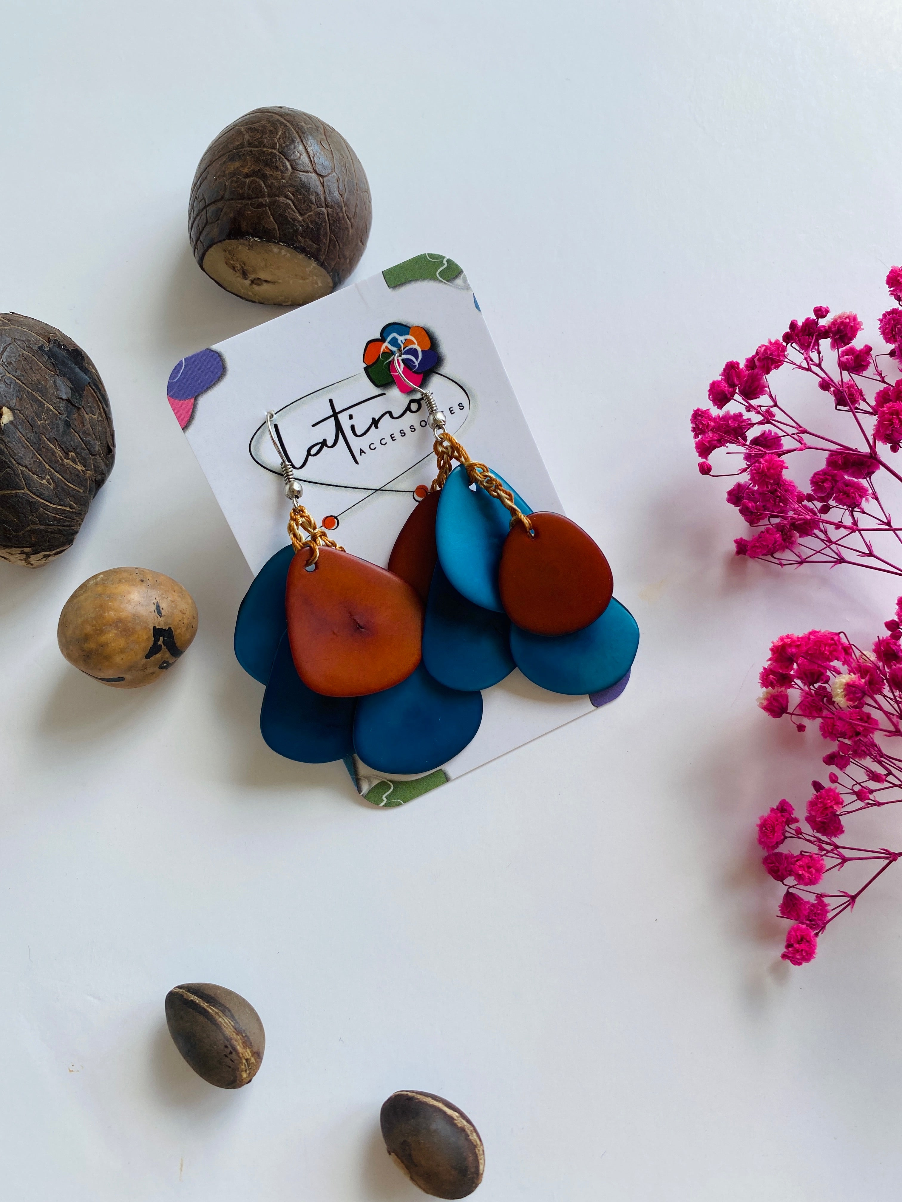 Blue & Brown Tagua Earrings