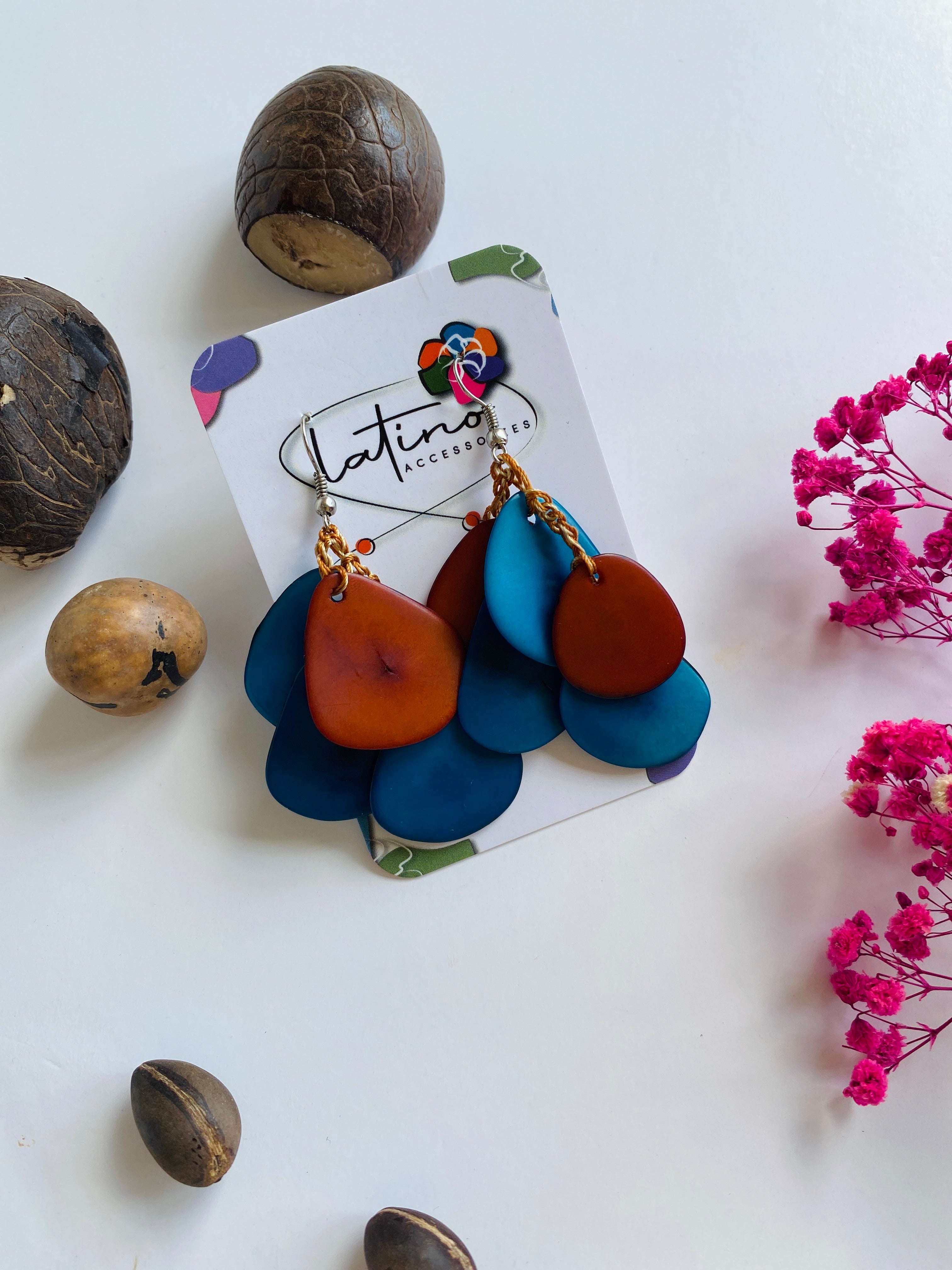 Blue & Brown Tagua Earrings